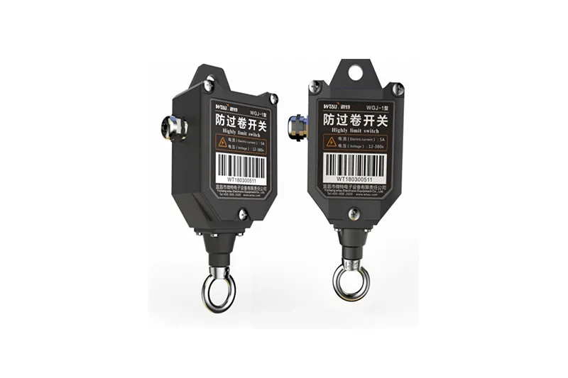 WGJ-1 A2B LIMIT SWITCH